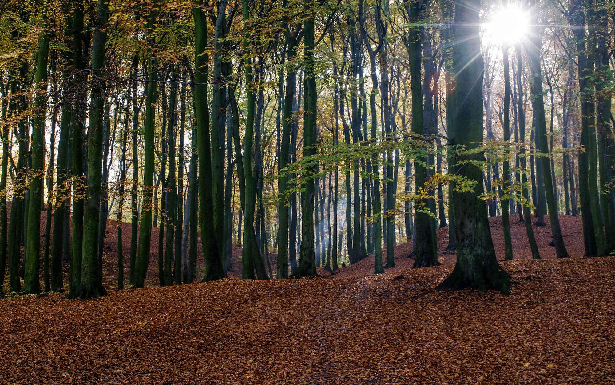 inspirational product management videos inspirational product management videos