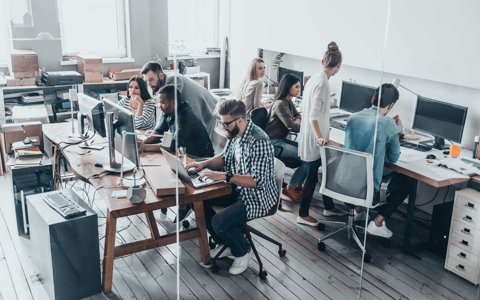 Project Management Software Project Management Software