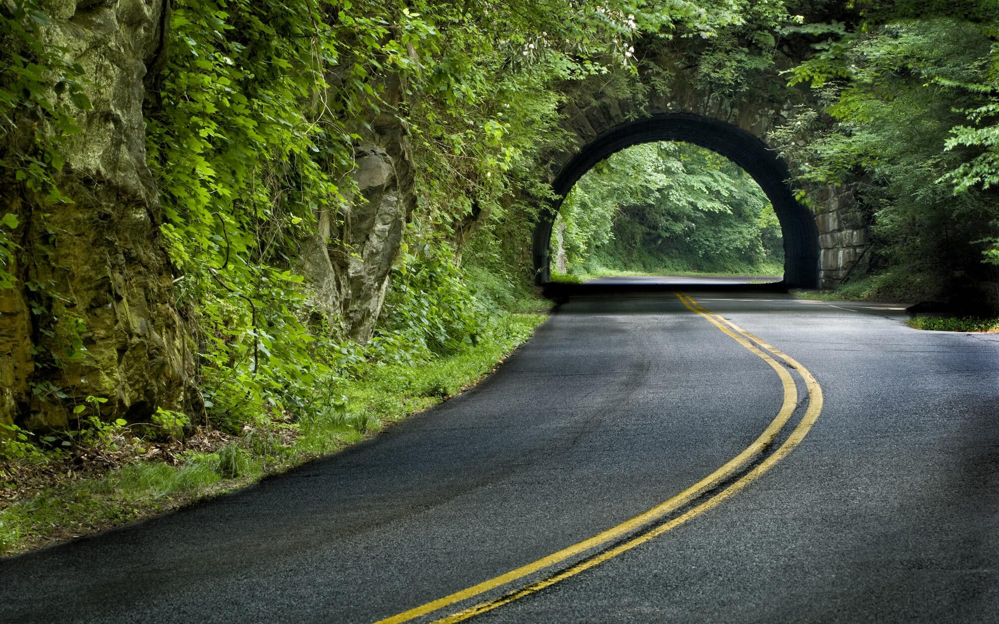 roadmap dos and don’ts